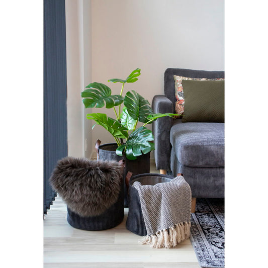 Cort Plaid - Plaid, coton, gris foncé/blanc, design C 13x16 cm