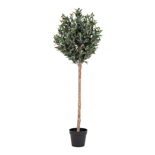 Olivier - Arbre artificiel, vert H:15 cm