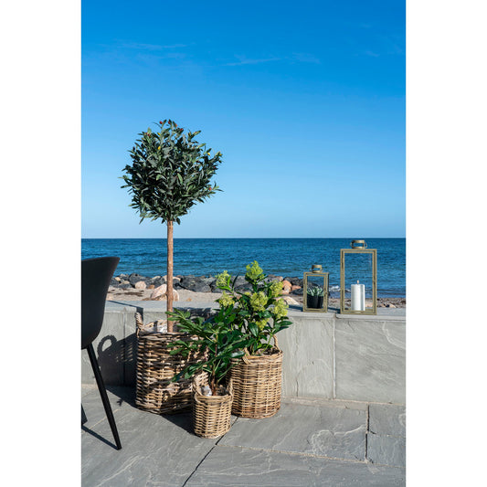 Arbre Skimmia - Plante artificielle, vert H:75 cm