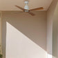 VENTILATEUR DE PLAFOND TYPHOON BLANC ET BOIS D'ÉRABLE (IP44) - M Ø127CM