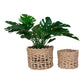 Penela Baskets - Paniers, papier, marron clair, lot de 2