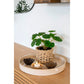 Penela Baskets - Paniers, papier, marron clair, lot de 2