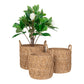 Krabi Baskets - Paniers, joncs de mer, naturels, lot de 3