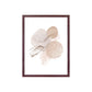 Aspen Frame set - Ensemble de cadres, marron foncé, lot de 3