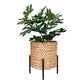 Antas Planter - Jardinière, jacinthe d'eau, naturel/noir, 23,5x23,5x29 cm