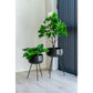 Ardola Flowerpots - Pots de fleurs, acier, noir, lot de 2