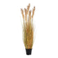 Herbe de Sorgho - Plante artificielle, nature H:11 cm