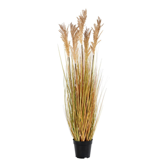 Herbe de Sorgho - Plante artificielle, nature H:11 cm