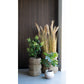 Figuier - Plante artificielle, vert H:6 cm