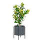 Arbre Skimmia - Plante artificielle, vert H:75 cm