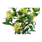 Arbre Skimmia - Plante artificielle, vert H:75 cm