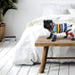 FIGURE PET  BULLDOG  DÉCO RAIES