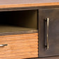 MEUBLE TV   DRESDE   166